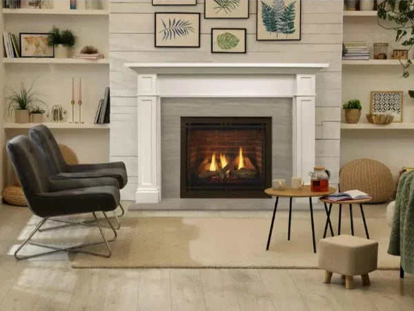 Majestic Black Contemporary Rectangular Door for Quartz Platinum 36" Gas Fireplace