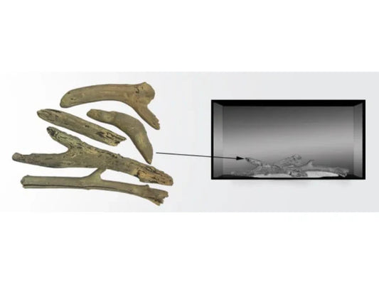 Majestic Driftwood Log Set for Jade Series