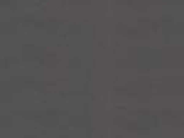 Majestic Ensemble 46" Overlap Front with ClearVue Mesh Gun Metal Trim for Meridian Series 42" Gas Fireplaces