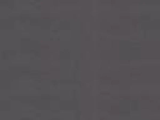 Majestic Ensemble 46" Overlap Front with ClearVue Mesh Gun Metal Trim for Meridian Series 42" Gas Fireplaces