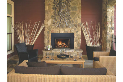 Amantii Sierra Flame Abbot 30" Propane Direct Vent Gas Fireplace Insert With Black Panel | ABBOT-30PG-DELUXE-LP