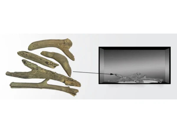 Majestic Driftwood Log Set for Jade Series