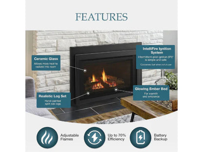 Majestic Jasper 30" Traditional Natural Gas Fireplace Insert with IPI Ignition System