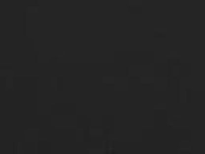 Majestic Manor 39" Black Arched Overlap Fit Front with ClearVue Mesh 36" for Meridian Series 36" Gas Fireplaces