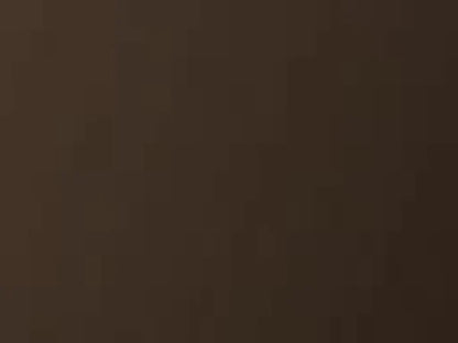 Majestic Manor 46" New Bronze Arched Overlap Fit Front with ClearVue Mesh for Meridian Series 42" Gas Fireplaces