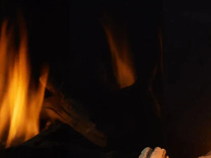 Majestic Meridian Modern 36" Traditional/Contemporary Top Direct Vent Natural Gas Fireplace with IntelliFire Touch ignition System