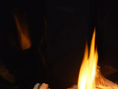 Majestic Meridian 36" Traditional Top/Rear Direct Vent Liquid Propane Fireplace with IntelliFire Touch ignition System