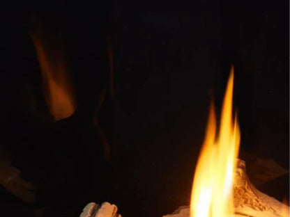 Majestic Meridian Platinum 36" Traditional Top/Rear Direct Vent Natural Gas Fireplace with IntelliFire Touch ignition System