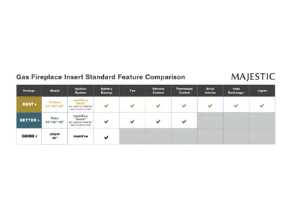 Majestic Trilliant Small 25" Traditional Direct Vent Natural Gas Fireplace Insert with IntelliFire Touch Ignition System