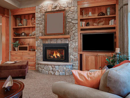 Majestic Trilliant Small 25" Traditional Direct Vent Propane Gas Fireplace Insert with IntelliFire Touch Ignition System